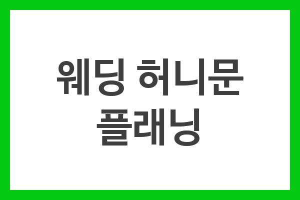 웨딩 허니문 플래닝
