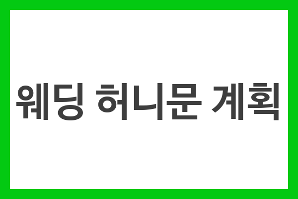 웨딩 허니문 계획