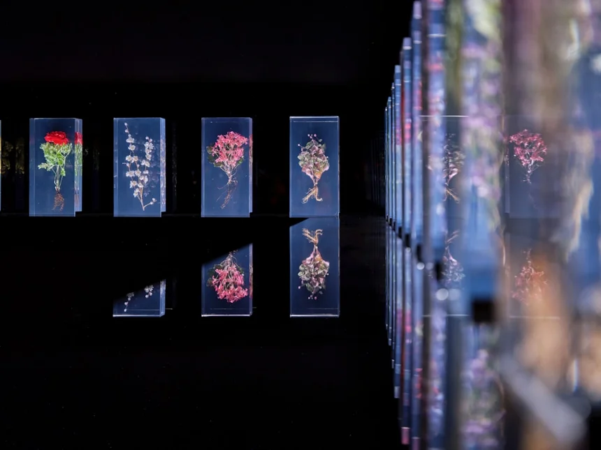Exhibition.