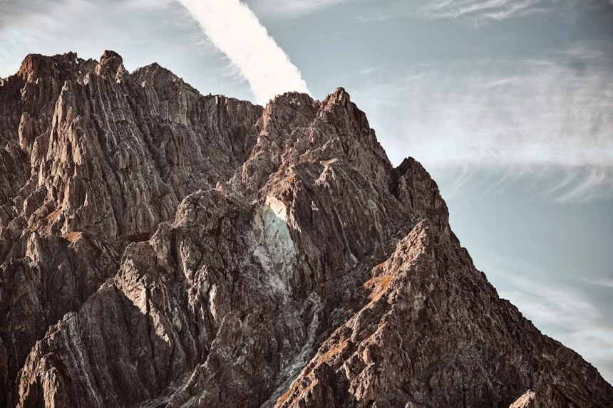 신혼가구브랜드 선택의 모든 것 알아보기