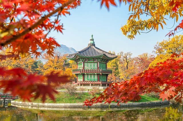 입장용 QR코드를 스캔하는 스마트폰 화면