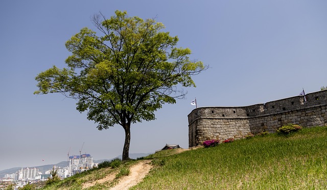 현장 안내판과 부스 배치도